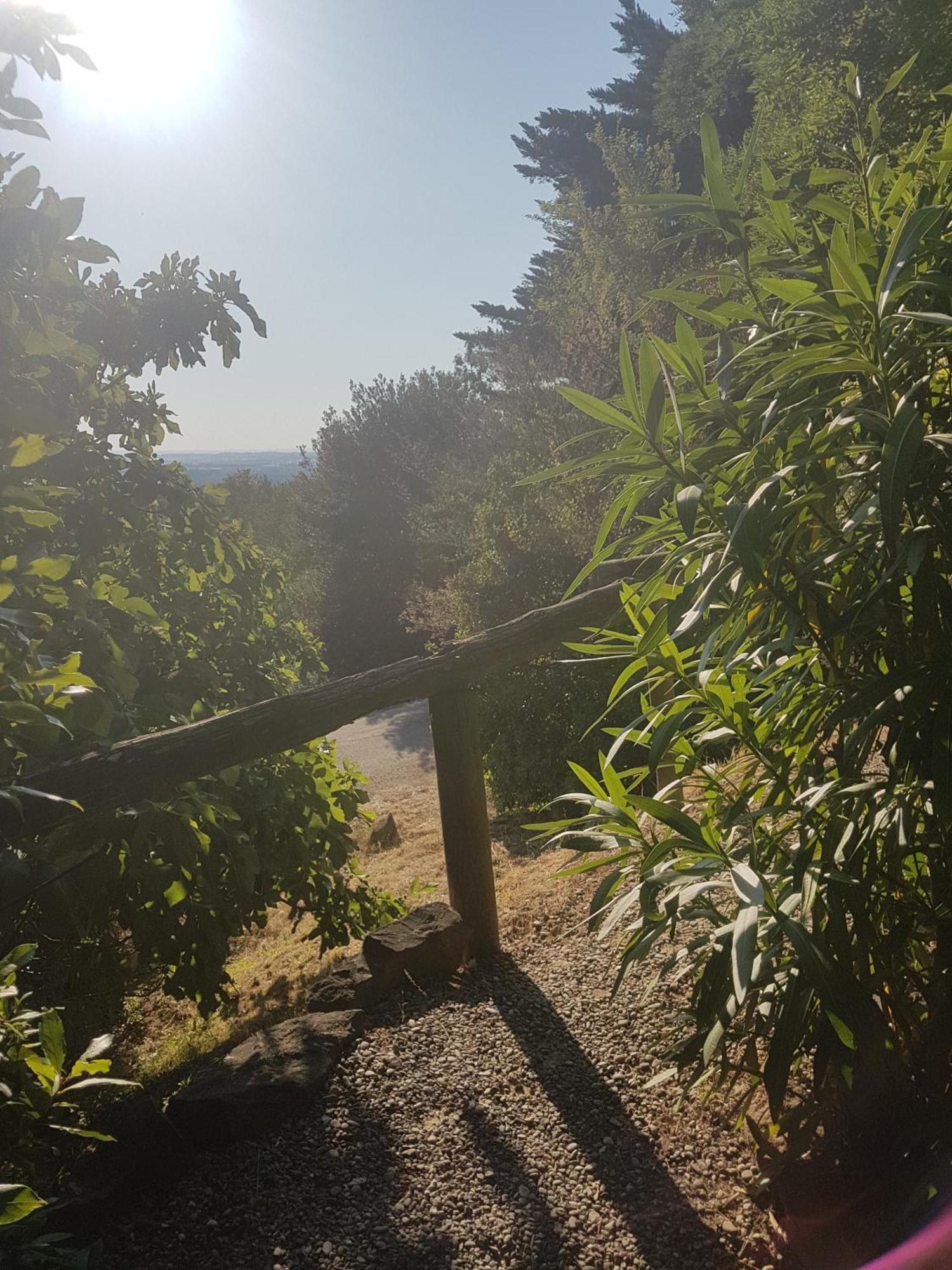 La Maison Sur La Colline Bed and breakfast