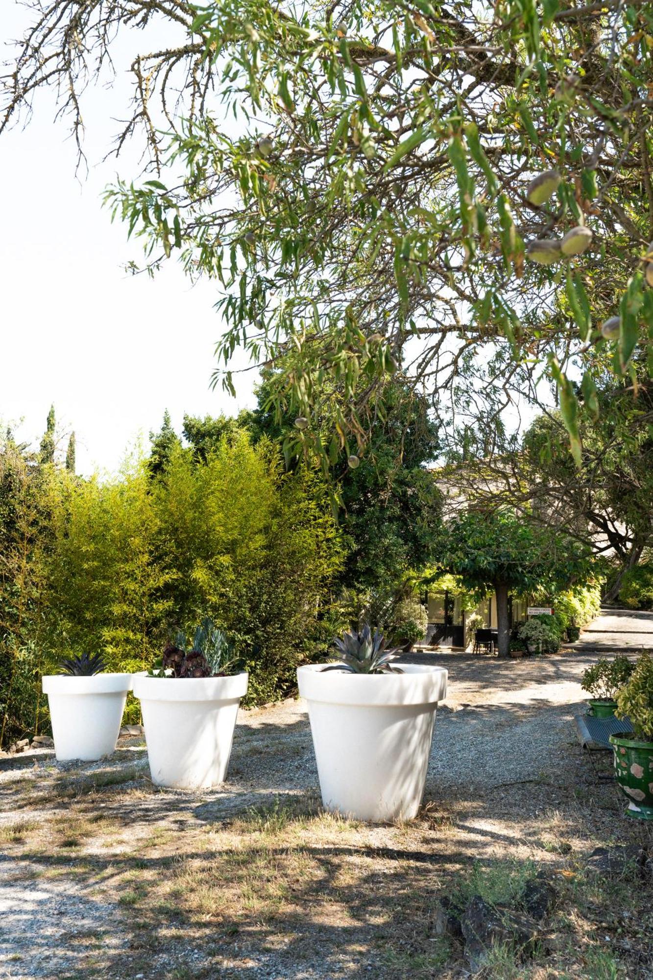 Bed and breakfast La Maison Sur La Colline