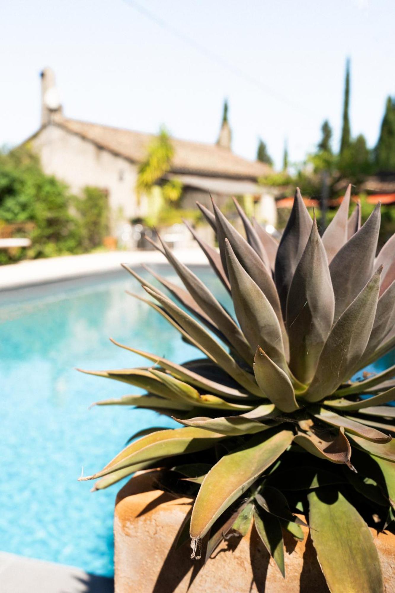 La Maison Sur La Colline Carcassonne